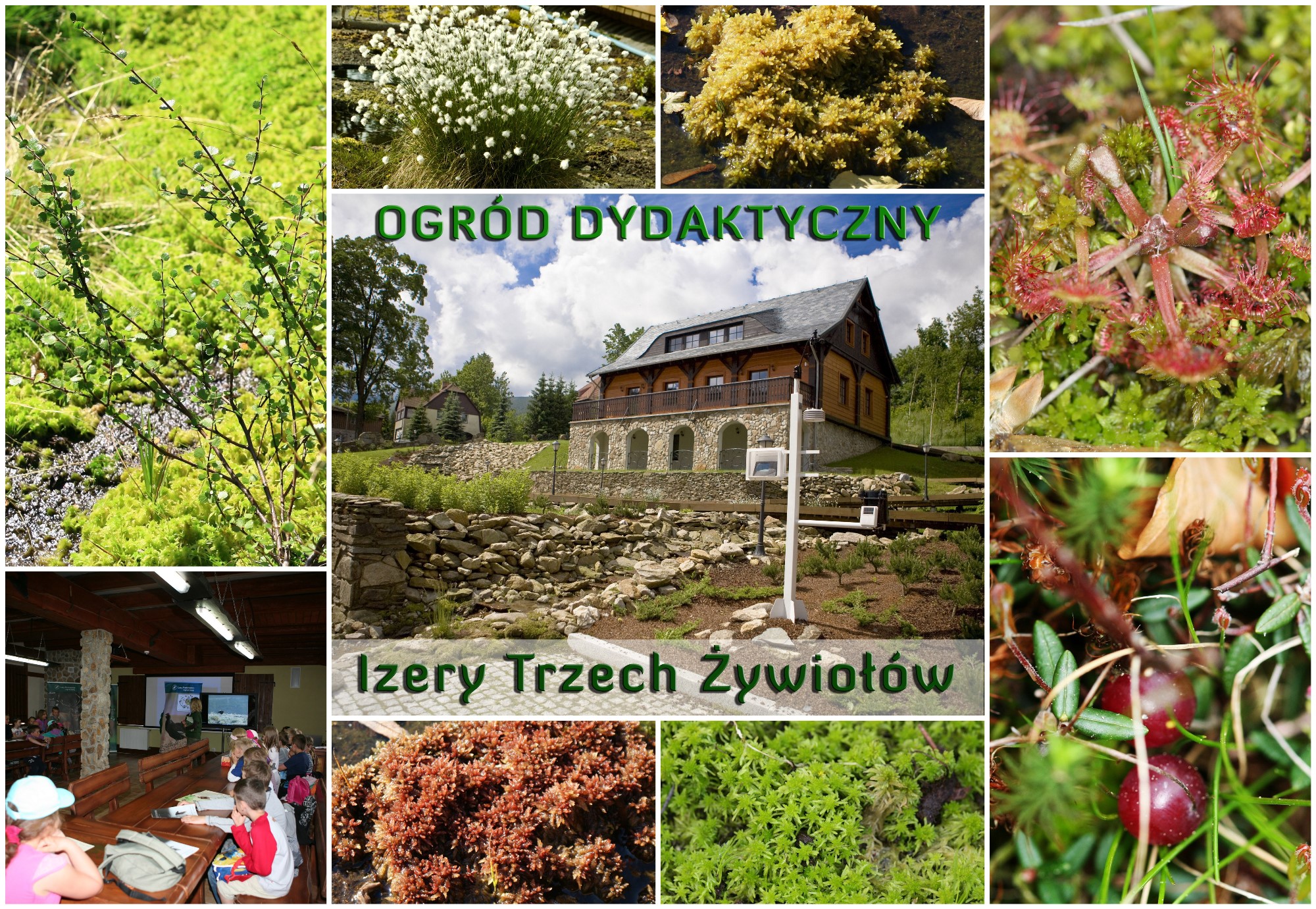 headquarters Leśny Kompleks Promocyjny Sudety Zachodnie headquarters Leśny Kompleks Promocyjny Sudety Zachodnie